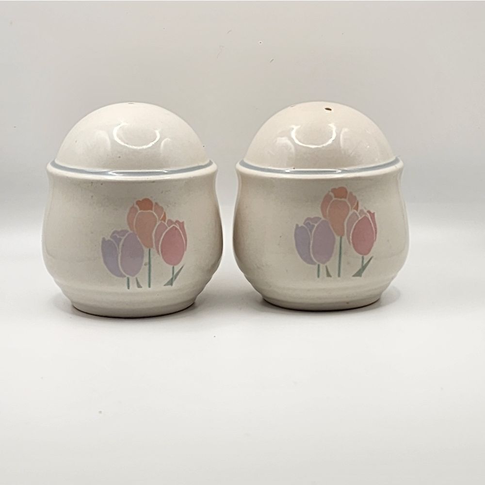International China Spring Up Pastel Tulips Stoneware Salt And Pepper Japan